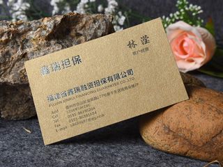 高檔名片制作（金融擔(dān)保）